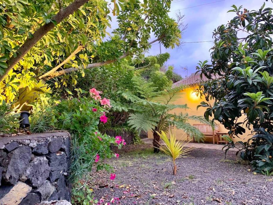 Rustic House La Montana Villa Brena Baja Ngoại thất bức ảnh