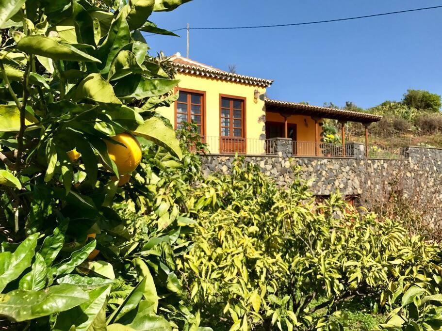 Rustic House La Montana Villa Brena Baja Ngoại thất bức ảnh